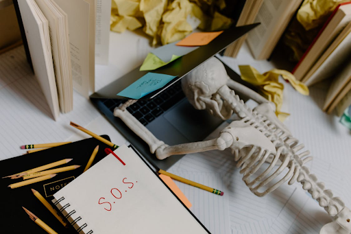 How much is the MB-910 exam?